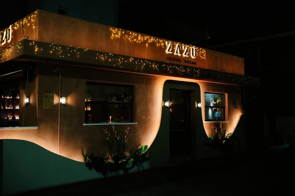 Welcome to ZAZU