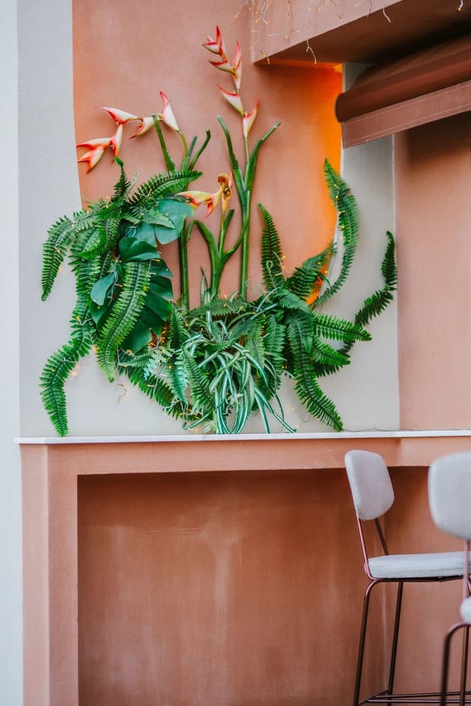 Botanical Vibe